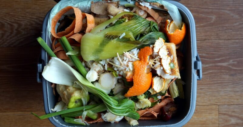 High prices motivate to cut food waste